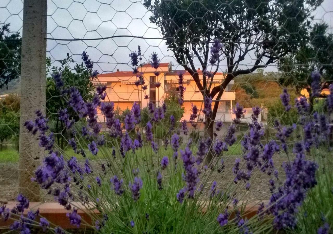 Casa Vacanza Demetra Fuscaldo Exterior foto